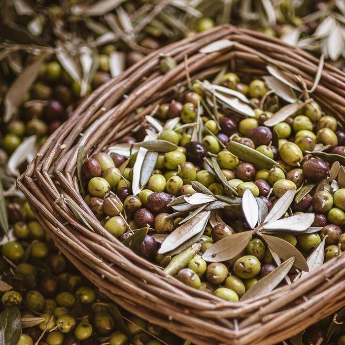 Terre Francescane Italian premium Extra Virgin Olive Oil EVOO L Italianio - Black ceramic 750ml