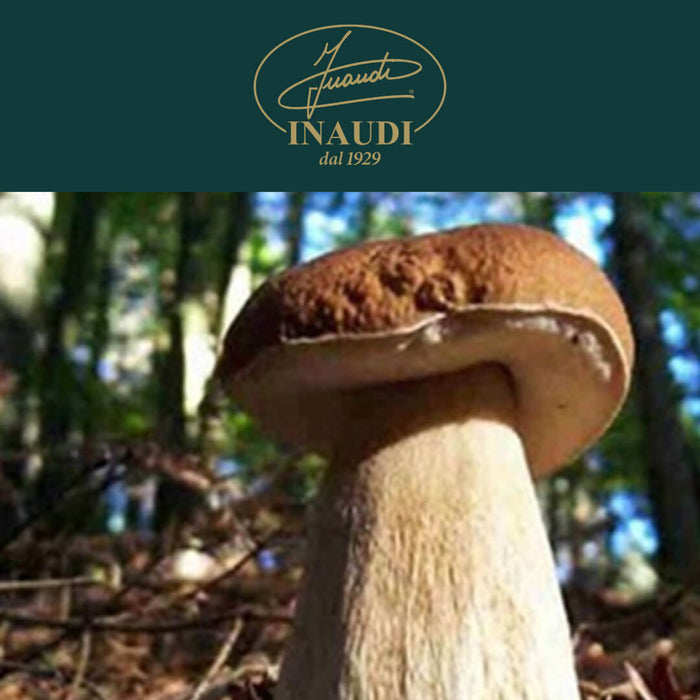Inaudi Italian artisanal cut Porcini Mushrooms in Olive Oil
